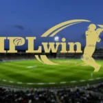 IPLwin betting platform