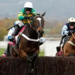 Tingle Creek Chase