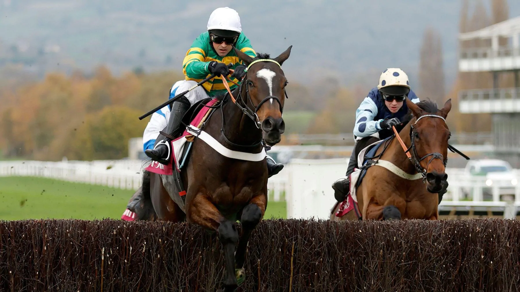 Tingle Creek Chase